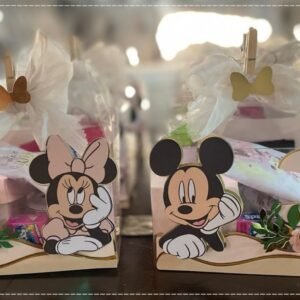 Caixa Acetato - Minnie e Mickey