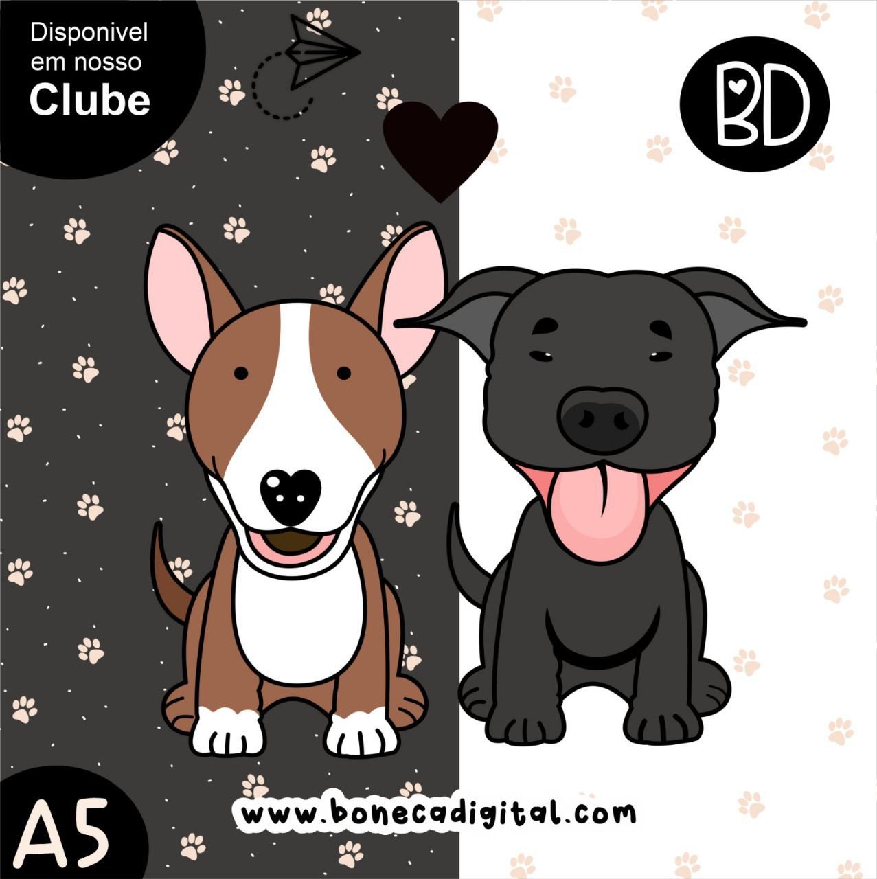 Pet 1