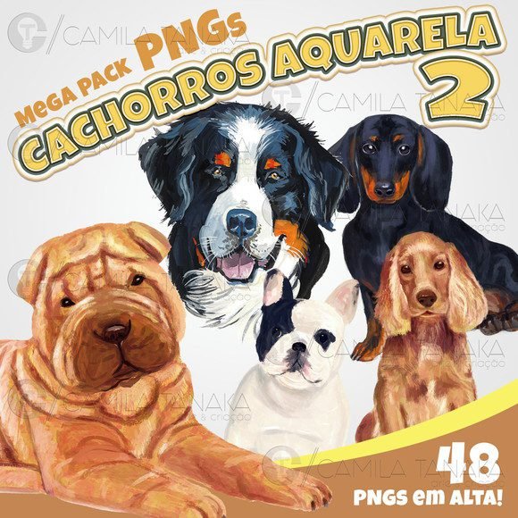 Cachorros Aquarela 2