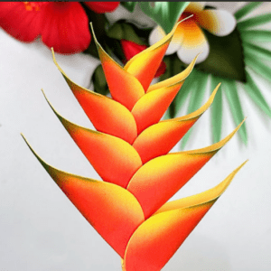 Helicônia e folhas tropicais